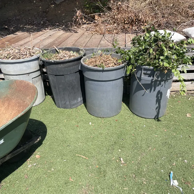 Trash cans filled with branches and yard trimmings on a lawn